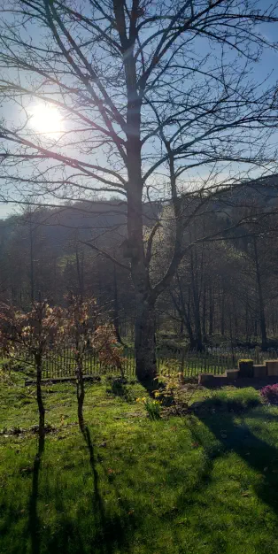 vue sur la montagne gîte de la retorderie