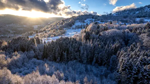 paysage enneigé dans les vosges
