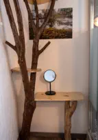 salle d'eau, décoration arbre gite de la retorderie