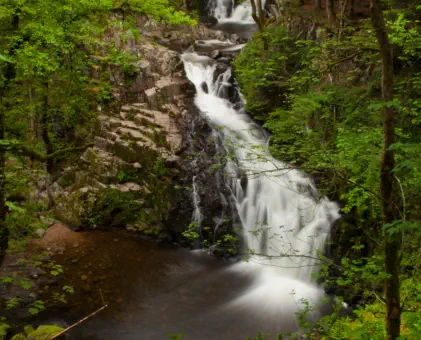 saut du bouchit à sapois