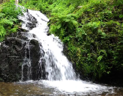 cascade de faymont au val d'ajol
