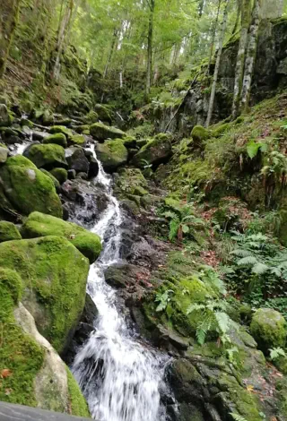 cascade du battion à rochesson