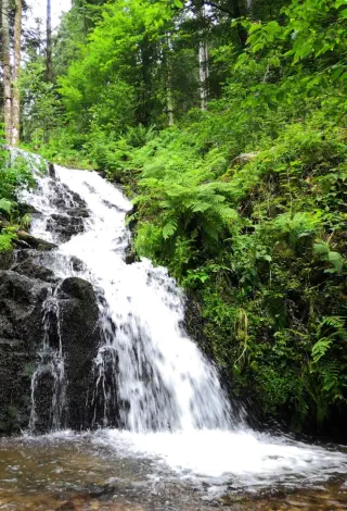 cascade de faymont au val d'ajol