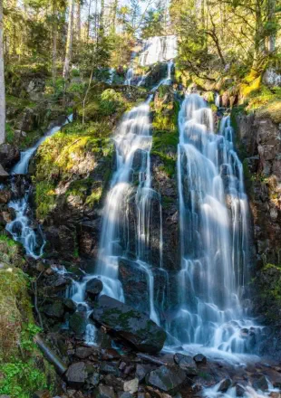 Randonnée avec cascade autour du gîte de la retorderie